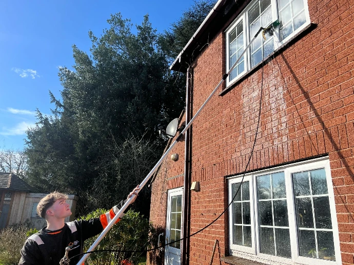 using a long reach windows cleaning brush