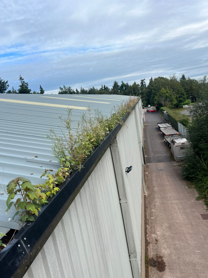 very badly soiled gutters that need a clean