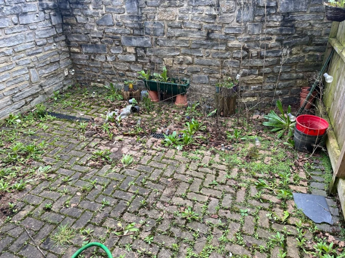 weeds in concrete block paving driveway
