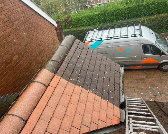 Roof Cleaning &amp; Moss Removal