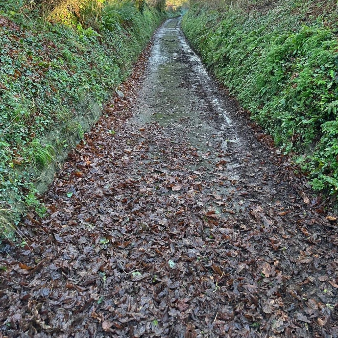 tarmac driveway before pressure washing