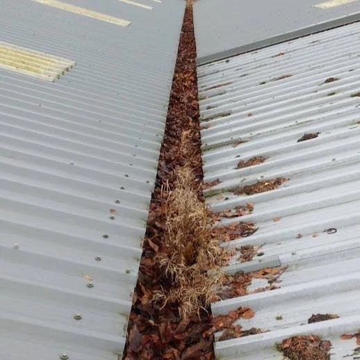 commercial gutters full of leaves