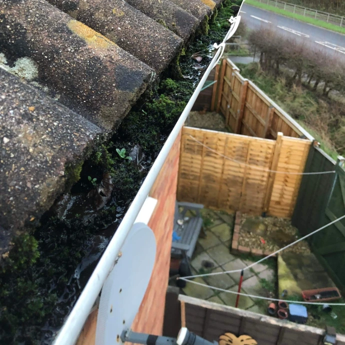gutters full of moss 
