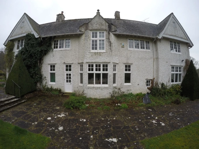 algae on roof slates, paintwork and patio 