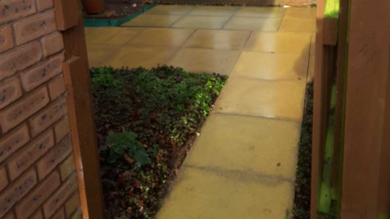 Patio and Paving Cleaning